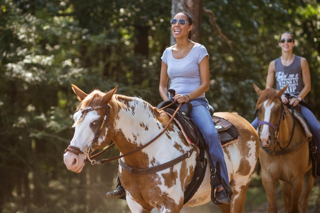 Southern Cross Guest Ranch 3*