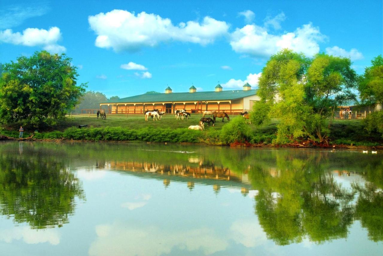 Southern Cross Guest Ranch 3* Madison