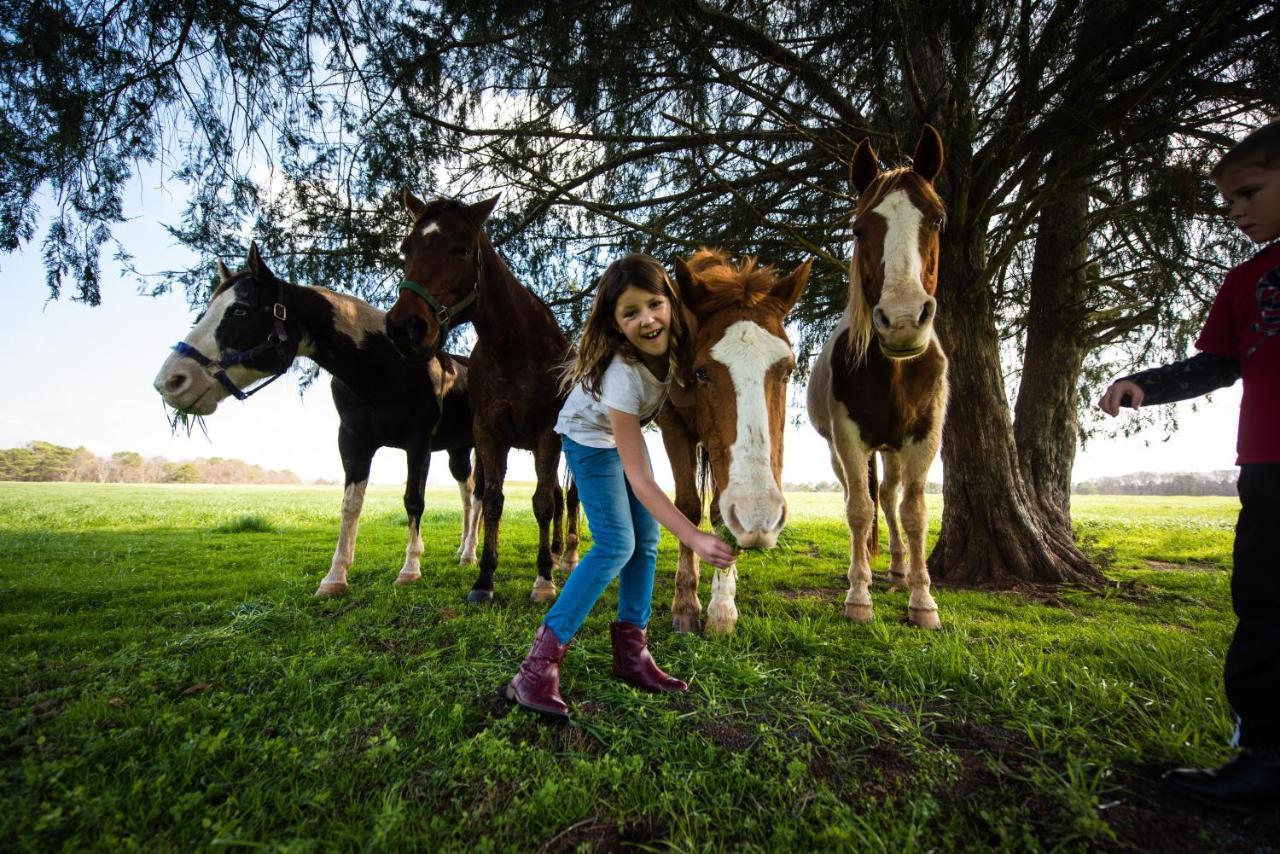 Southern Cross Guest Ranch Madison